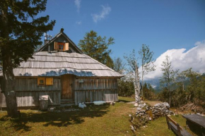 Chalet Orlica Velika Planina